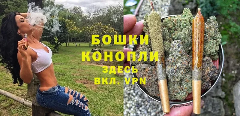 MEGA ссылки  Анива  Каннабис SATIVA & INDICA 